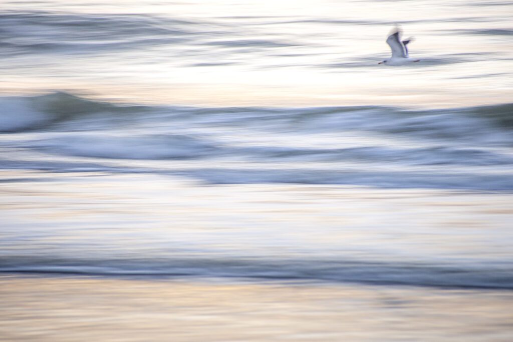 a bird flying over the ocean waves at sunset