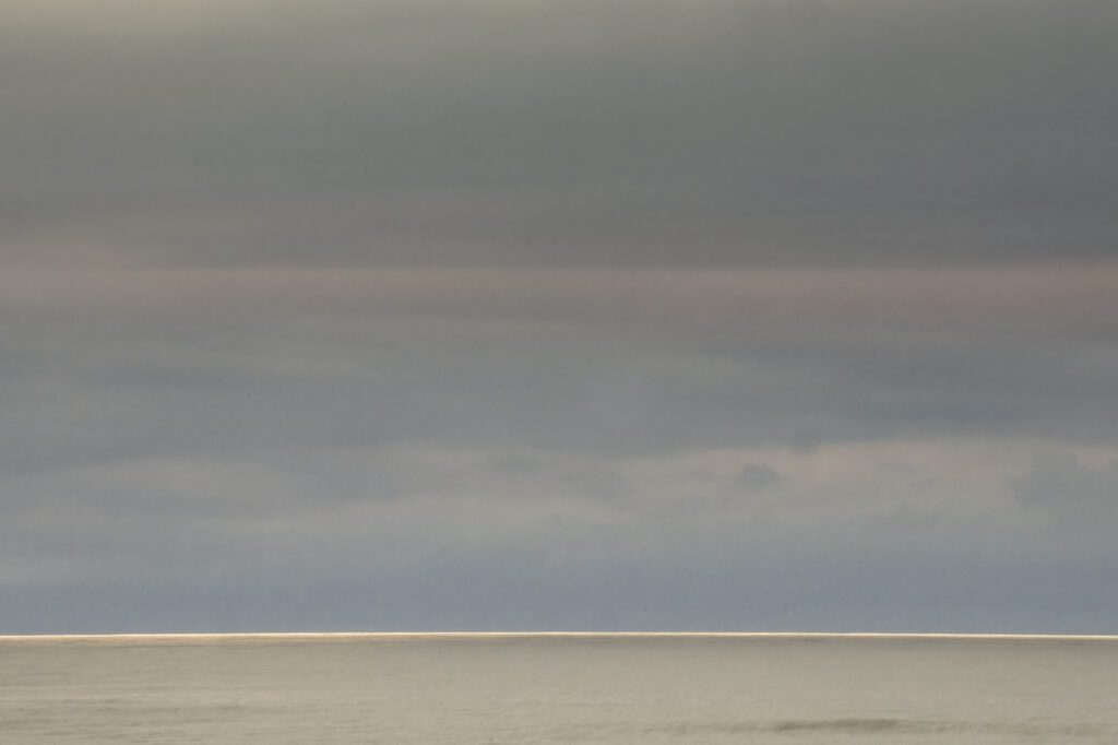 a lone bird standing on the beach under a cloudy sky