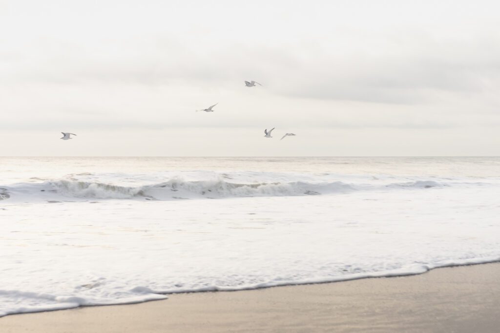 birds are flying over the water at the beach