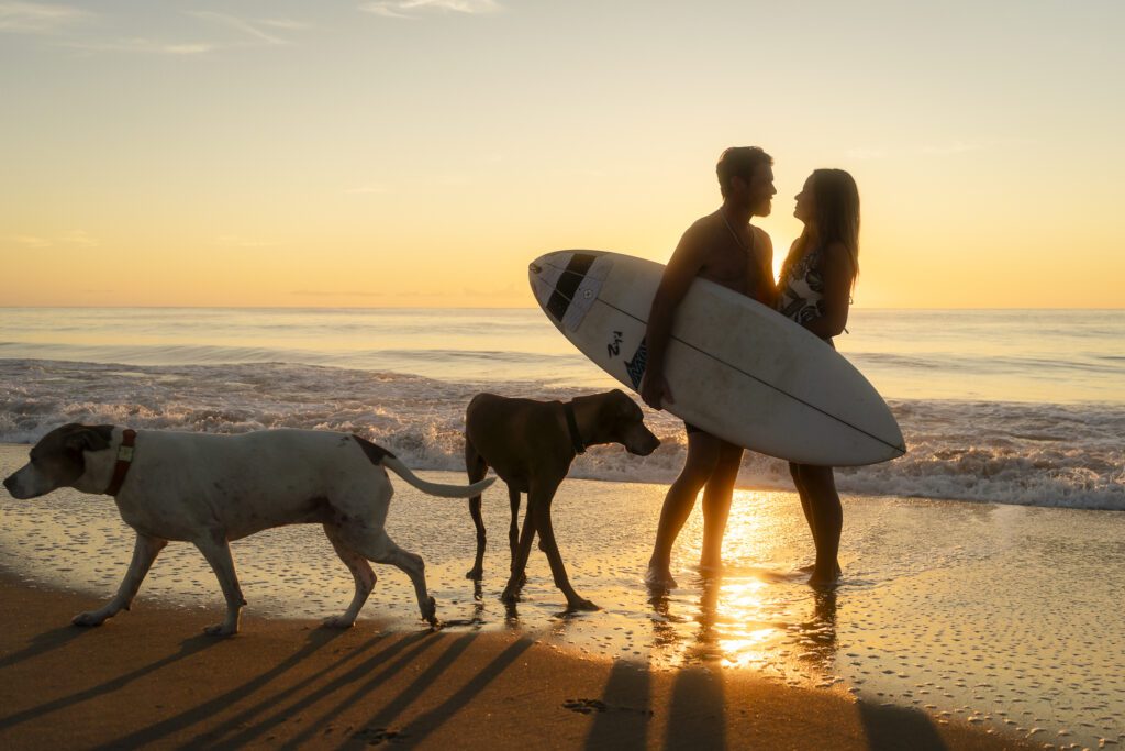 a man and a woman with a surfboard and two dogs on the beach